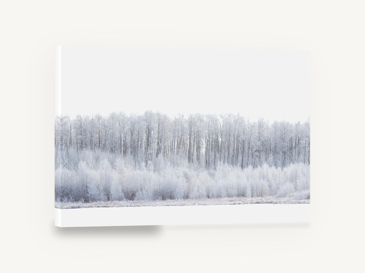 Hoarfrost Tree Line, frosted winter tree line photograph, landscape canvas wall art print ready to hang