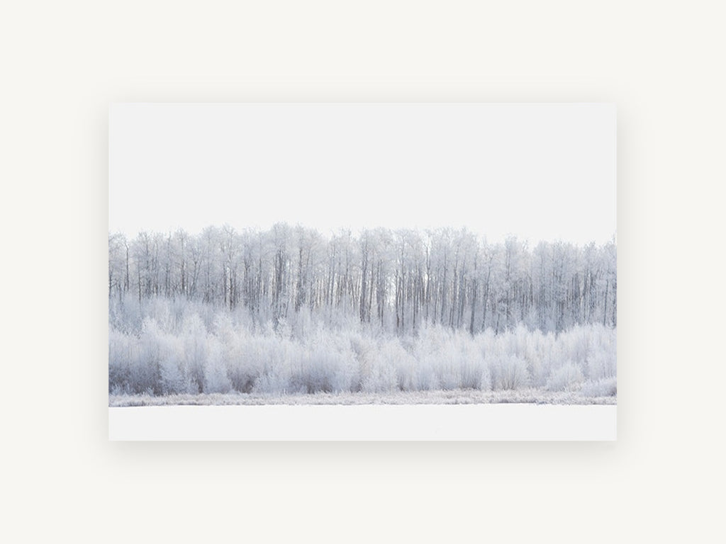 Hoarfrost Tree Line, frosted winter tree line photograph, landscape canvas wall art print, front view
