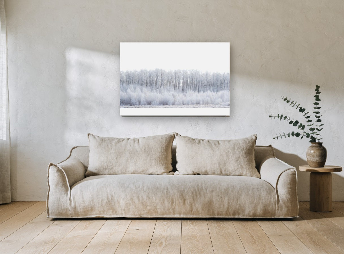 Hoarfrost Tree Line landscape canvas print on the wall of a living room