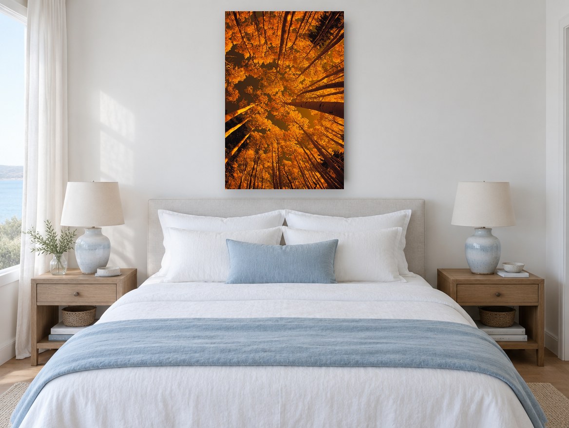 Aspen Canopy Glow landscape canvas print on the wall of a bedroom