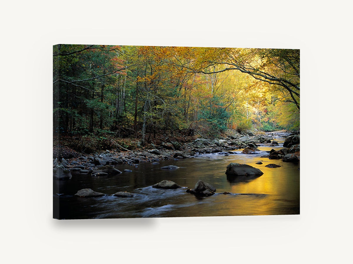 Golden Autumn Creek, autumn forest river photograph, landscape canvas wall art print ready to hang