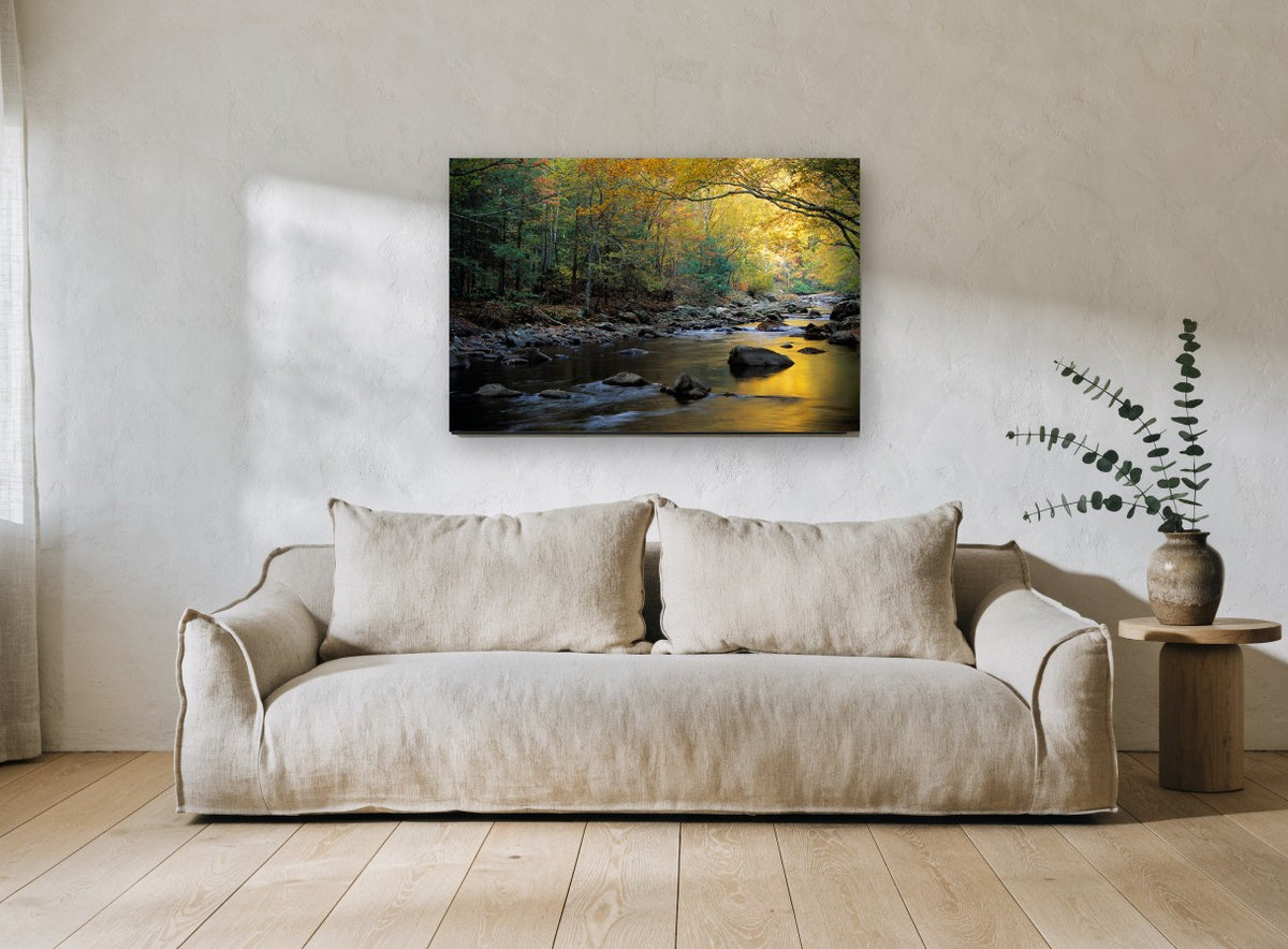 Golden Autumn Creek landscape canvas print on the wall of a living room