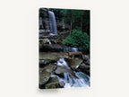 Mossy Cascade Stream, forest waterfall stream photograph, landscape canvas wall art print ready to hang