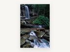 Mossy Cascade Stream, forest waterfall stream photograph, landscape canvas wall art print, front view