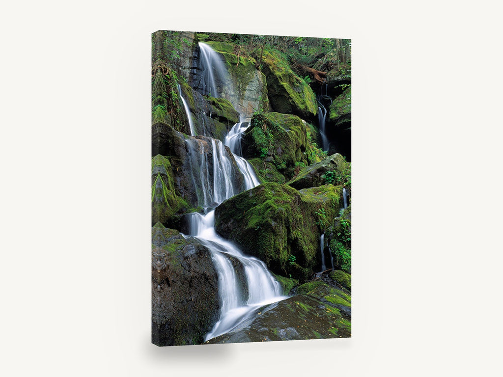 Mossy Cascade Steps, mossy forest waterfall photograph, landscape canvas wall art print ready to hang