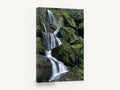 Mossy Cascade Steps, mossy forest waterfall photograph, landscape canvas wall art print ready to hang