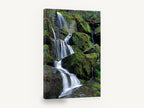 Mossy Cascade Steps, mossy forest waterfall photograph, landscape canvas wall art print ready to hang