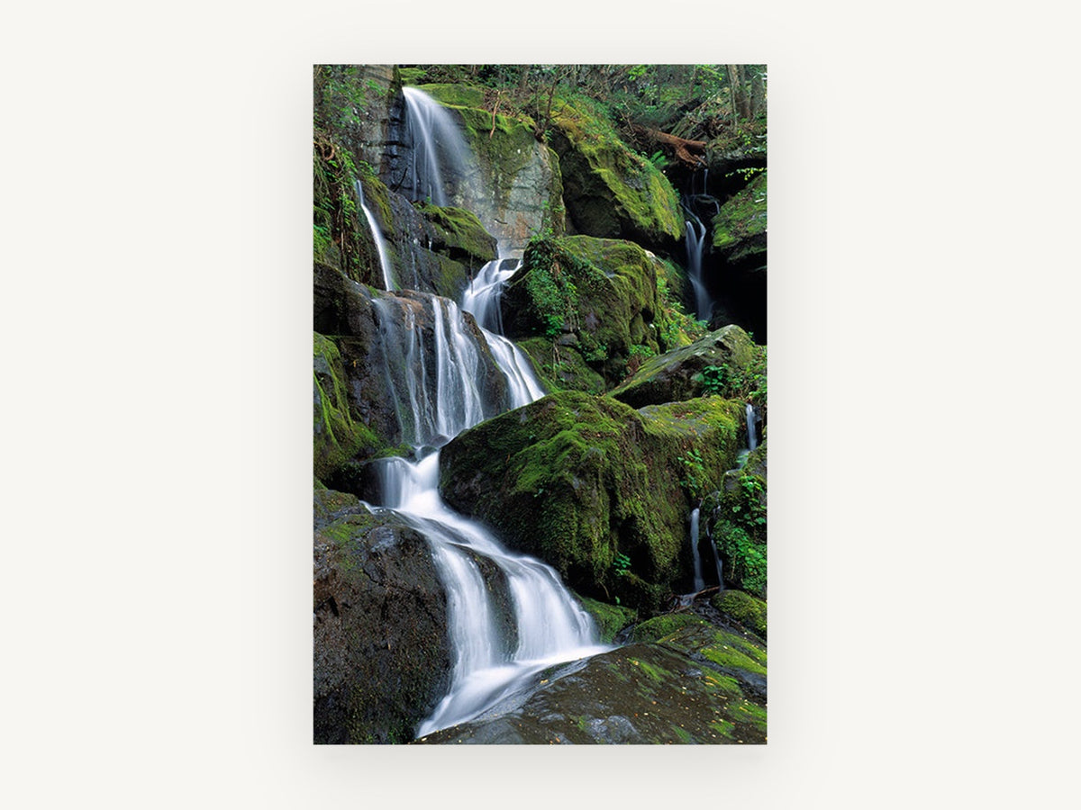 Mossy Cascade Steps, mossy forest waterfall photograph, landscape canvas wall art print, front view