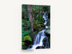 Mossy Forest Cascade, mossy forest waterfall photograph, landscape canvas wall art print ready to hang