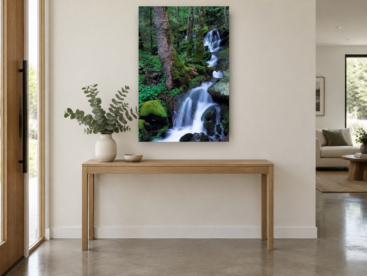 Mossy Forest Cascade landscape canvas print on the wall of a entry hall