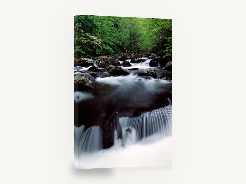 Silken Forest Cascade, forest stream waterfall photograph, landscape canvas wall art print ready to hang