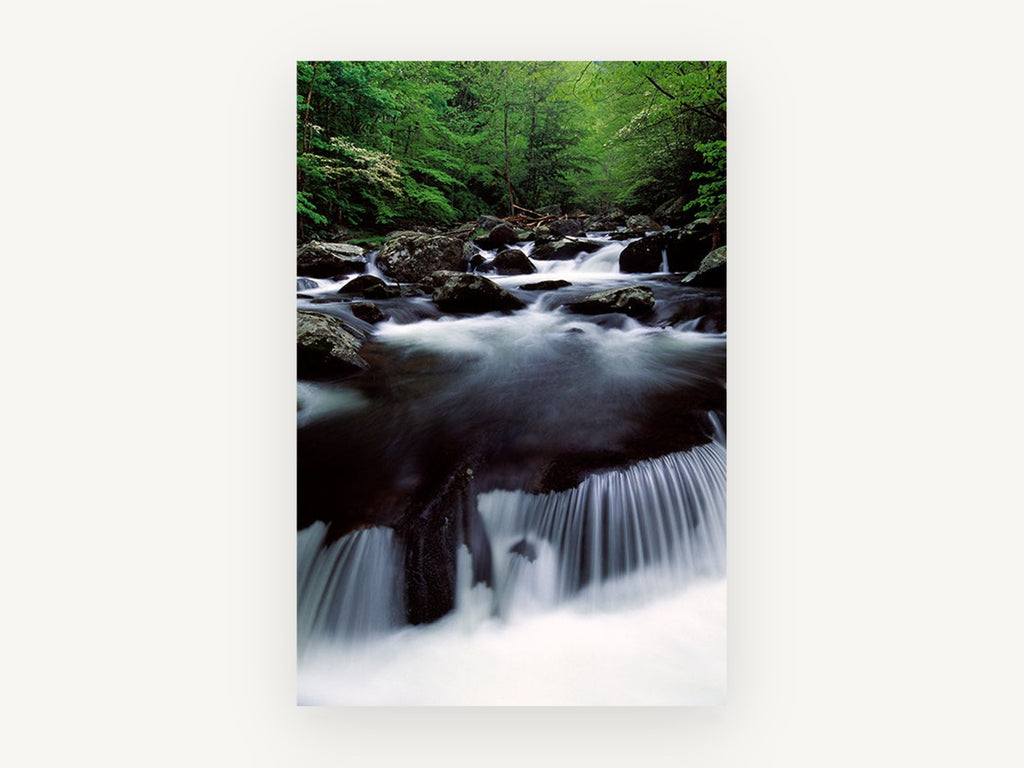 Silken Forest Cascade, forest stream waterfall photograph, landscape canvas wall art print, front view