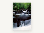 Silken Forest Cascade, forest stream waterfall photograph, landscape canvas wall art print, front view