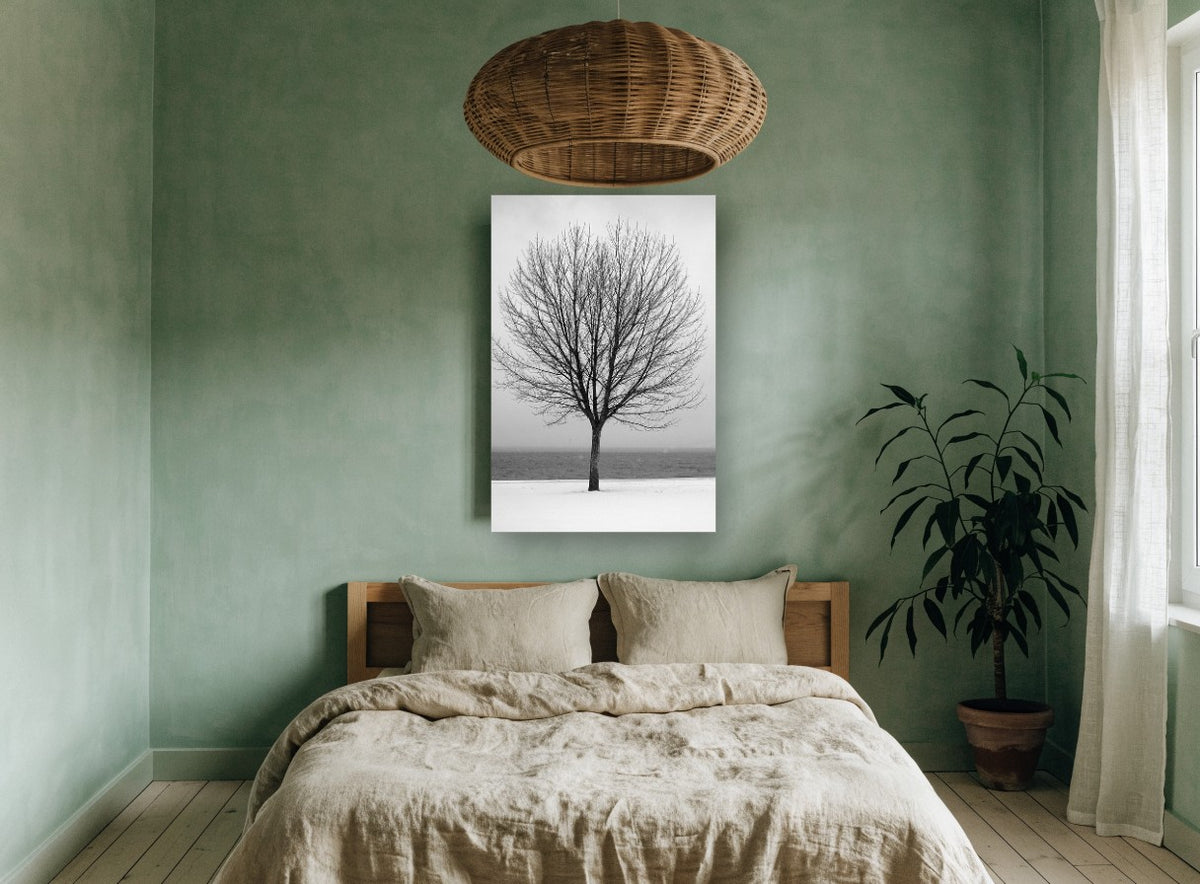 Winter Lakeside Tree landscape canvas print on the wall of a bedroom