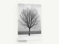 Winter Lakeside Tree, bare tree snowy lake photograph, landscape canvas wall art print ready to hang