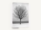 Winter Lakeside Tree, bare tree snowy lake photograph, landscape canvas wall art print ready to hang