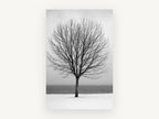 Winter Lakeside Tree, bare tree snowy lake photograph, landscape canvas wall art print, front view