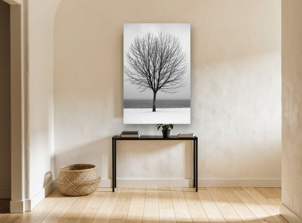 Winter Lakeside Tree landscape canvas print on the wall of a hallway