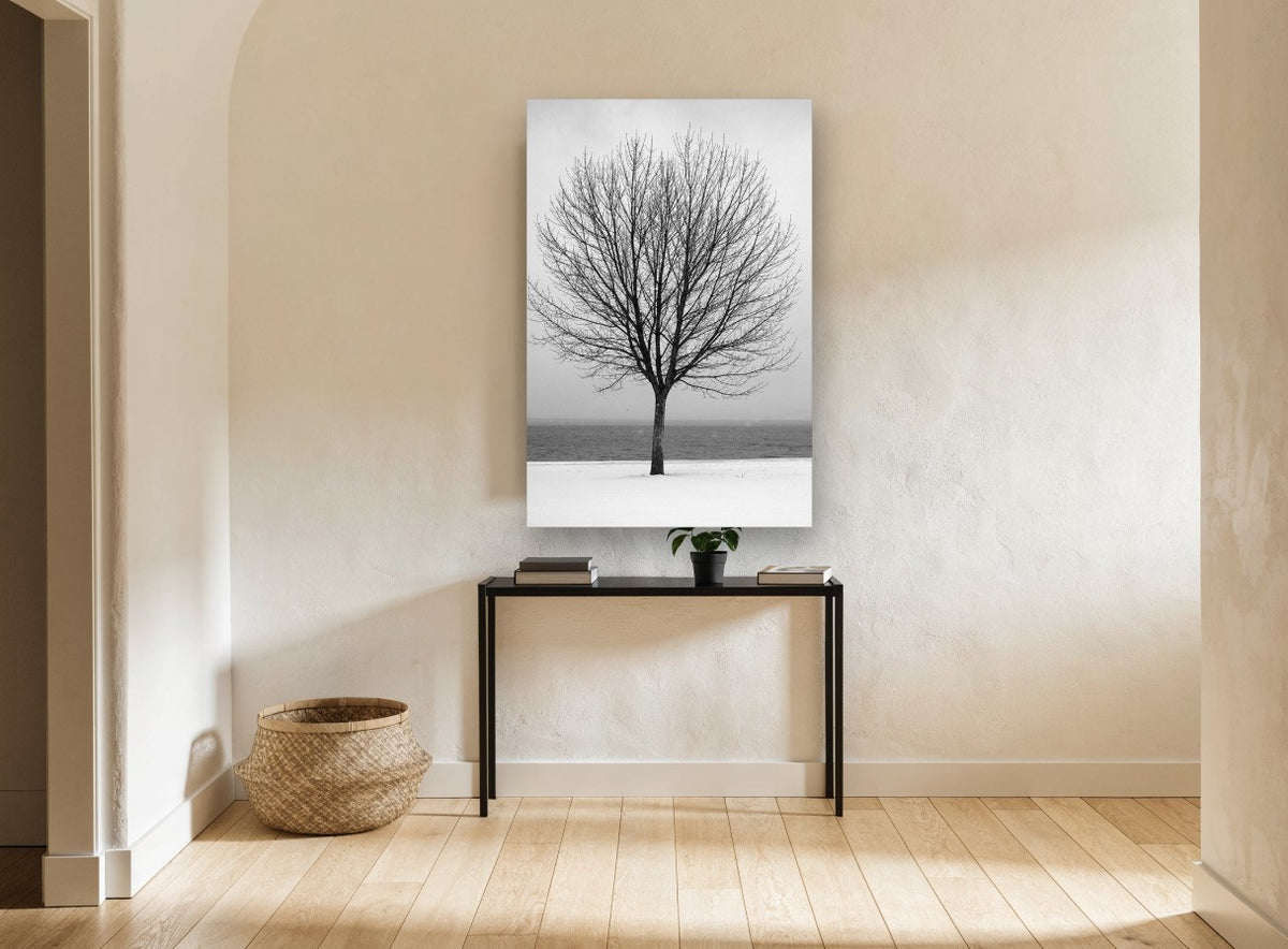 Winter Lakeside Tree landscape canvas print on the wall of a hallway