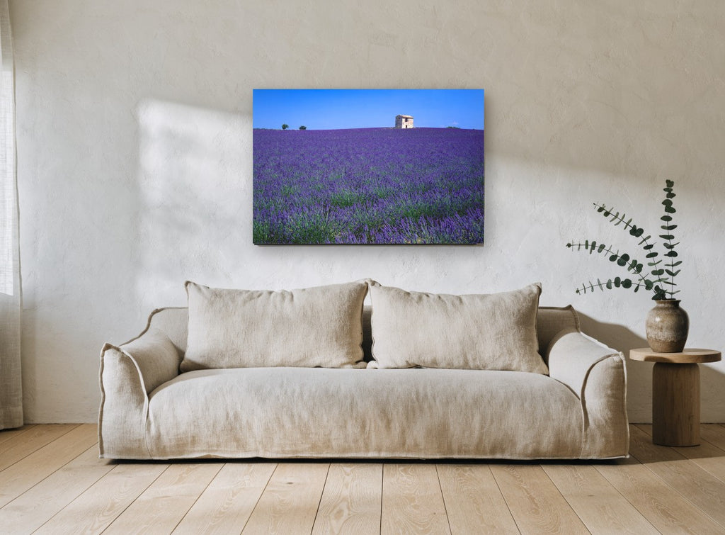 Lavender Stone Hut landscape canvas print on the wall of a living room