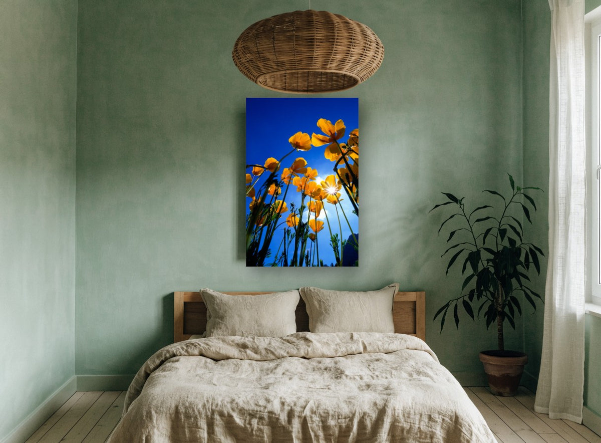 Poppies Against Blue floral canvas print on the wall of a bedroom