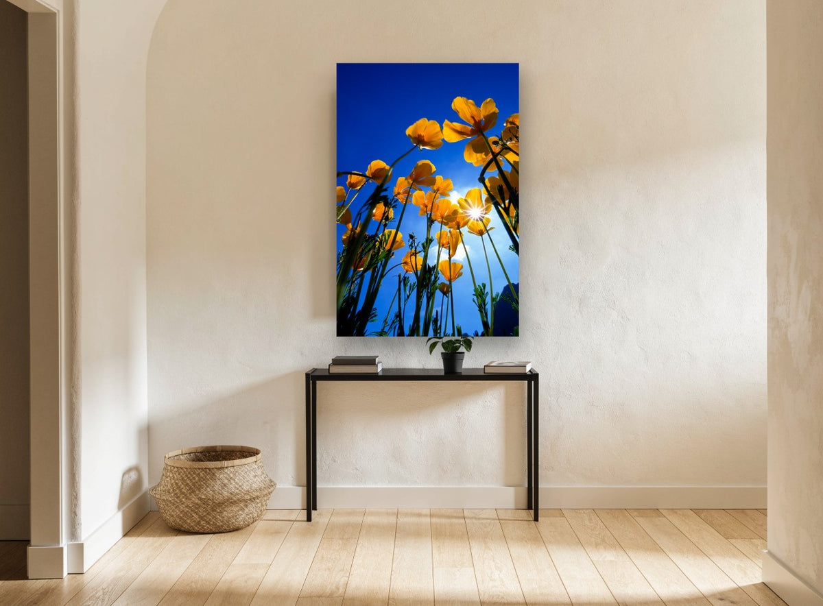 Poppies Against Blue floral canvas print on the wall of a hallway