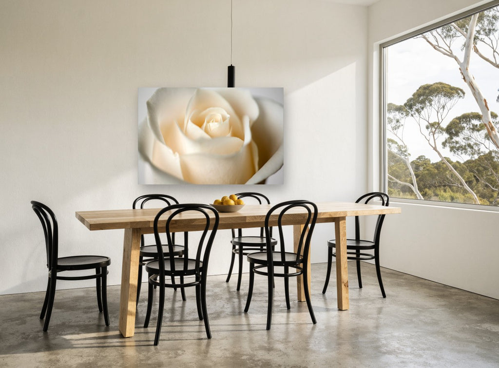 Cream Rose Bloom floral canvas print on the wall of a dining room