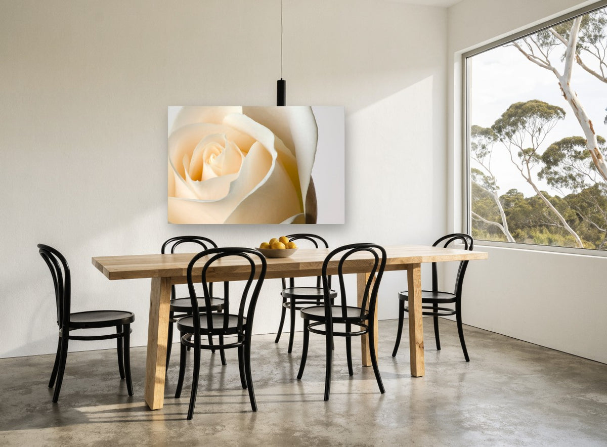 Cream Rose Unfurling floral canvas print on the wall of a dining room