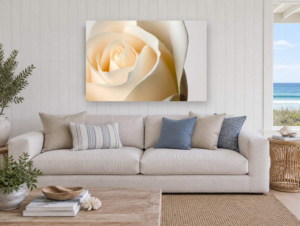 Cream Rose Unfurling floral canvas print on the wall of a beach house living room
