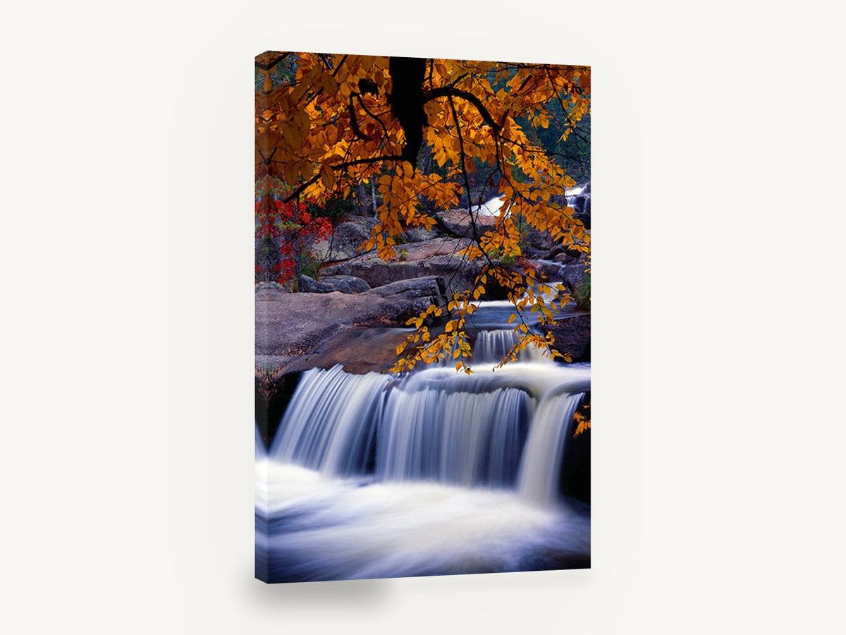 Autumn Cascade Canopy, autumn waterfall long exposure photograph, landscape canvas wall art print ready to hang