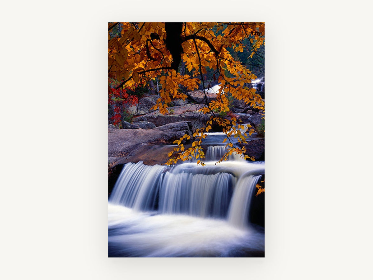 Autumn Cascade Canopy, autumn waterfall long exposure photograph, landscape canvas wall art print, front view