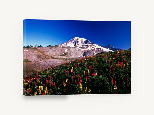 Alpine Paintbrush Slope, snowy mountain wildflower meadow photograph, landscape canvas wall art print ready to hang