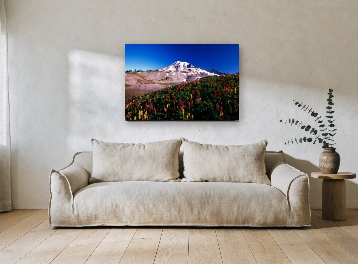 Alpine Paintbrush Slope landscape canvas print on the wall of a living room