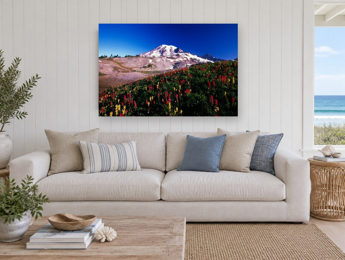 Alpine Paintbrush Slope landscape canvas print on the wall of a beach house living room