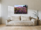 Lupin Meadow Summit landscape canvas print on the wall of a living room