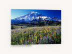 Alpine Wildflower Meadow, snowy mountain wildflower meadow photograph, landscape canvas wall art print ready to hang