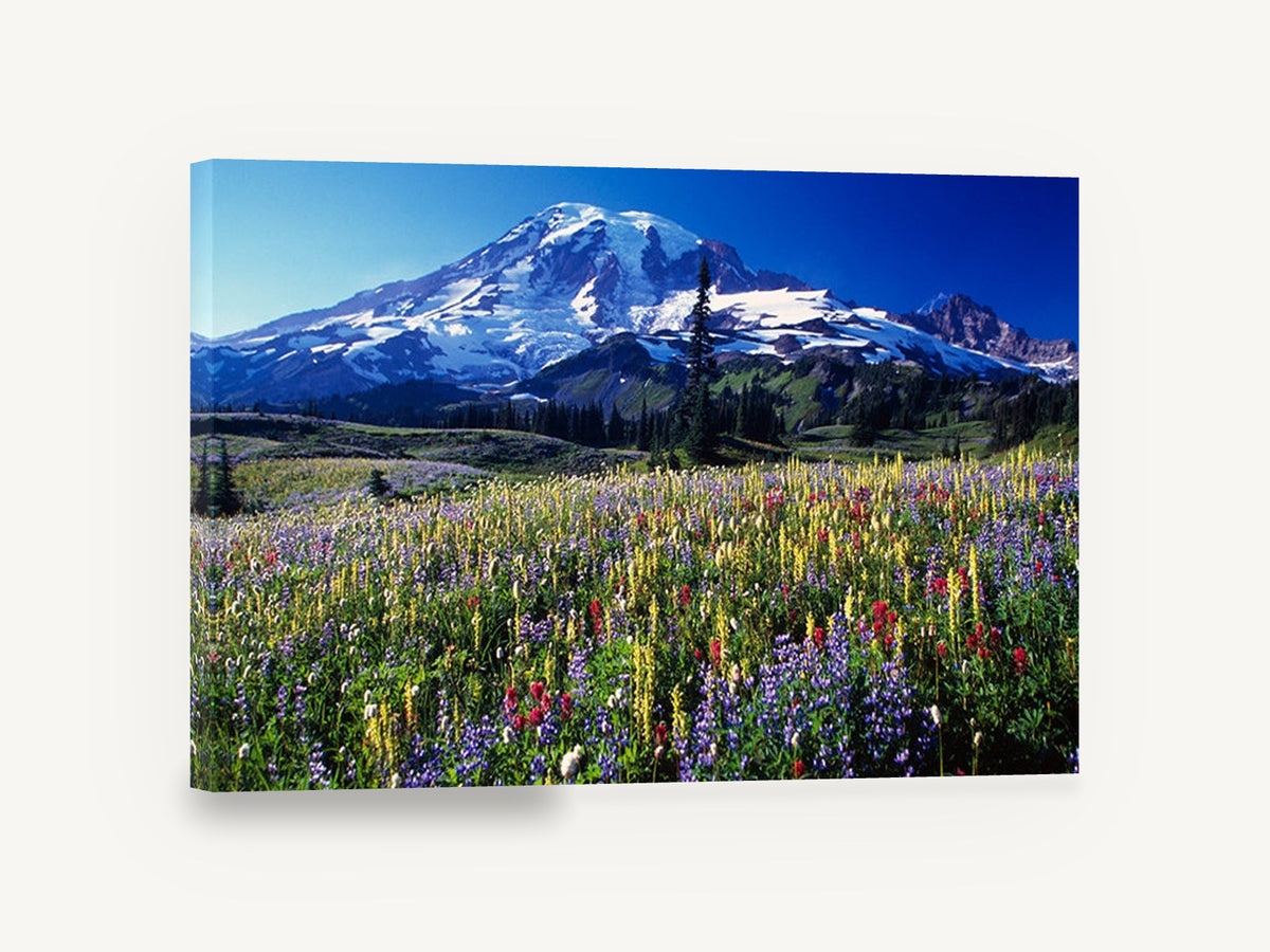 Alpine Wildflower Meadow, snowy mountain wildflower meadow photograph, landscape canvas wall art print ready to hang