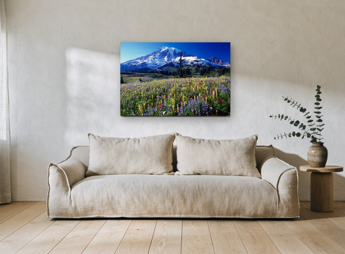 Alpine Wildflower Meadow landscape canvas print on the wall of a living room