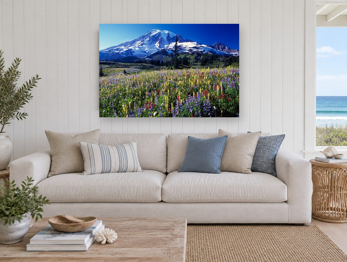 Alpine Wildflower Meadow landscape canvas print on the wall of a beach house living room