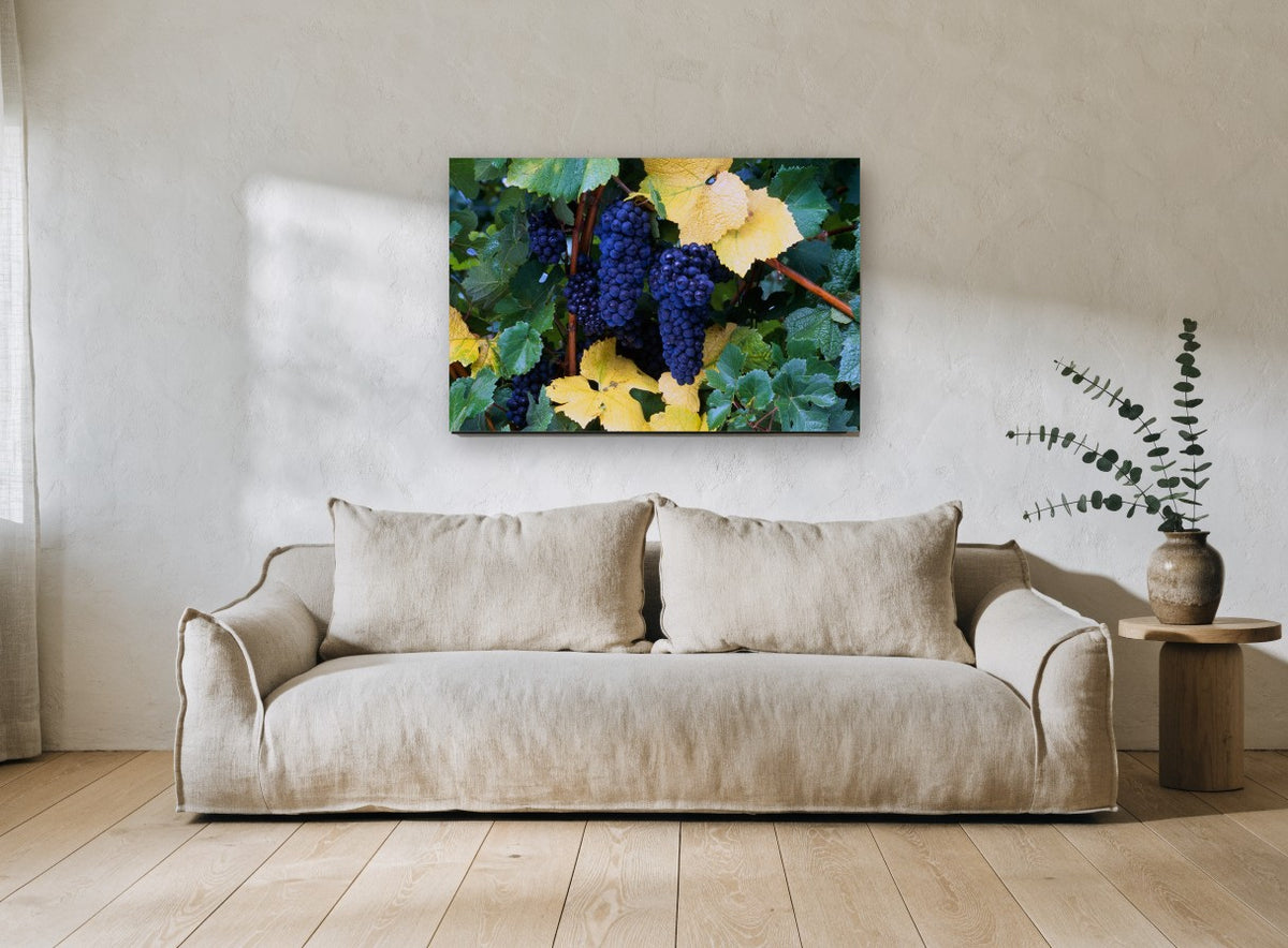 Autumn Vineyard Clusters floral canvas print on the wall of a living room