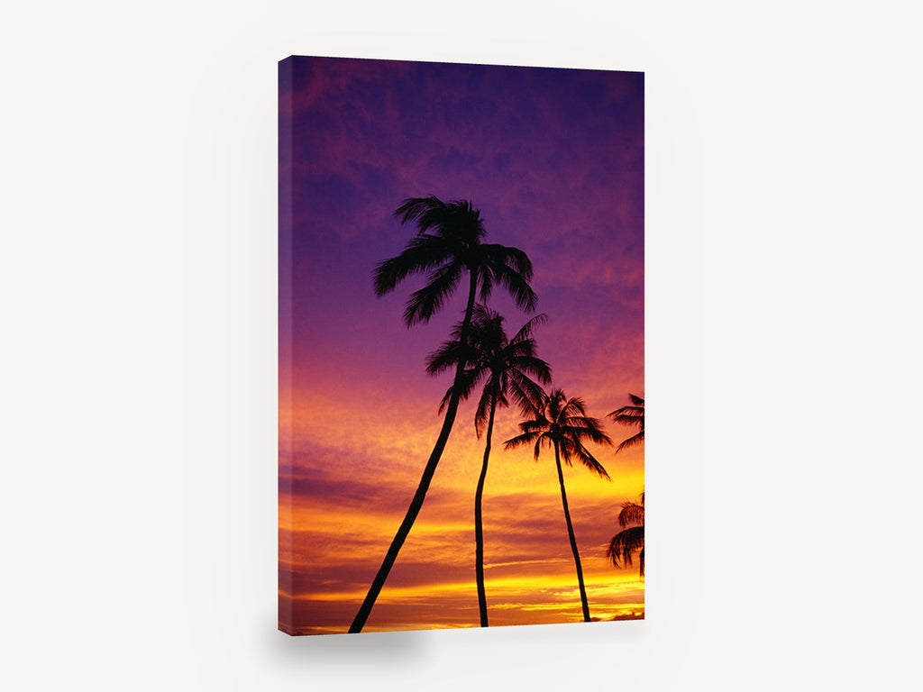 Palms at Violet Dusk, palm trees tropical sunset photograph, landscape canvas wall art print ready to hang