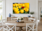 Red Among Yellow Tulips floral canvas print on the wall of a Hamptons dining room
