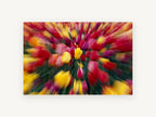 Tulip Burst, floral canvas wall art print, front view