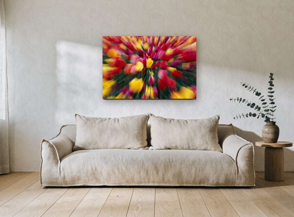 Tulip Burst floral canvas print on the wall of a living room