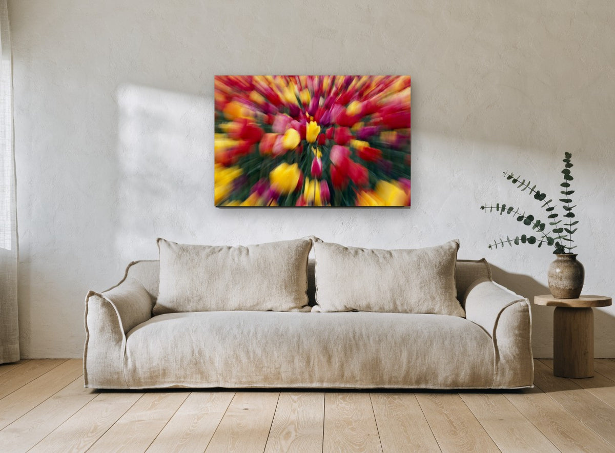 Tulip Burst floral canvas print on the wall of a living room