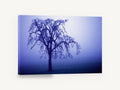 Indigo Fog Oak, lone bare tree in blue fog, landscape canvas wall art print ready to hang