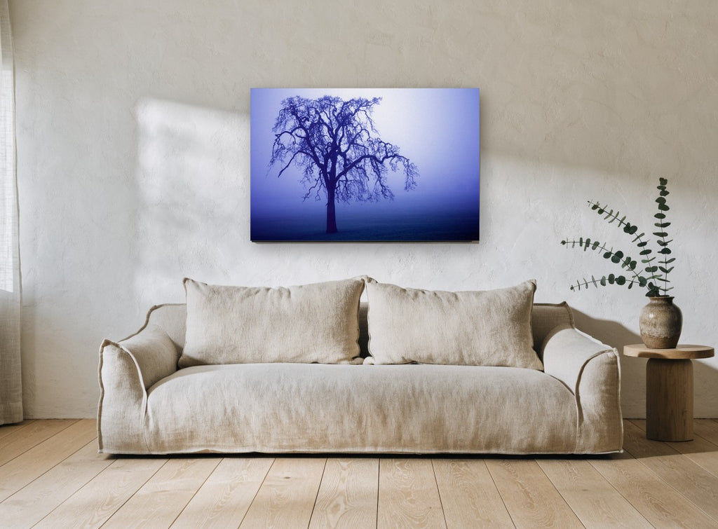 Indigo Fog Oak landscape canvas print on the wall of a living room