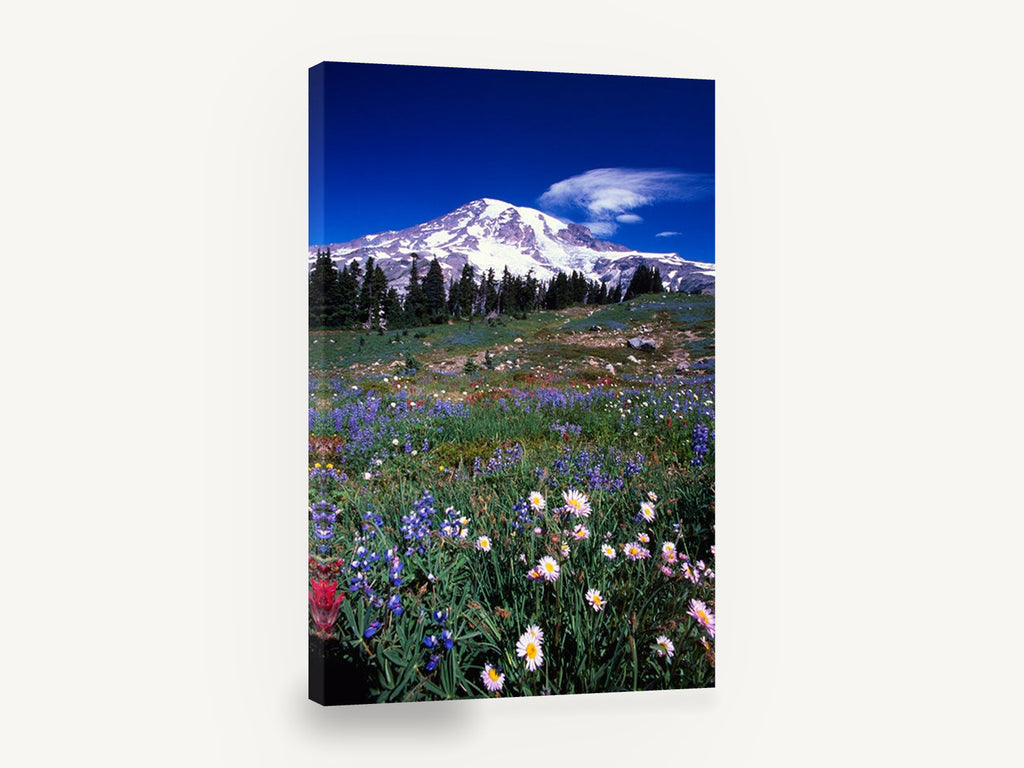 Alpine Meadow Bloom, wildflower meadow snow mountain photograph, floral canvas wall art print ready to hang