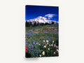 Alpine Meadow Bloom, wildflower meadow snow mountain photograph, floral canvas wall art print ready to hang