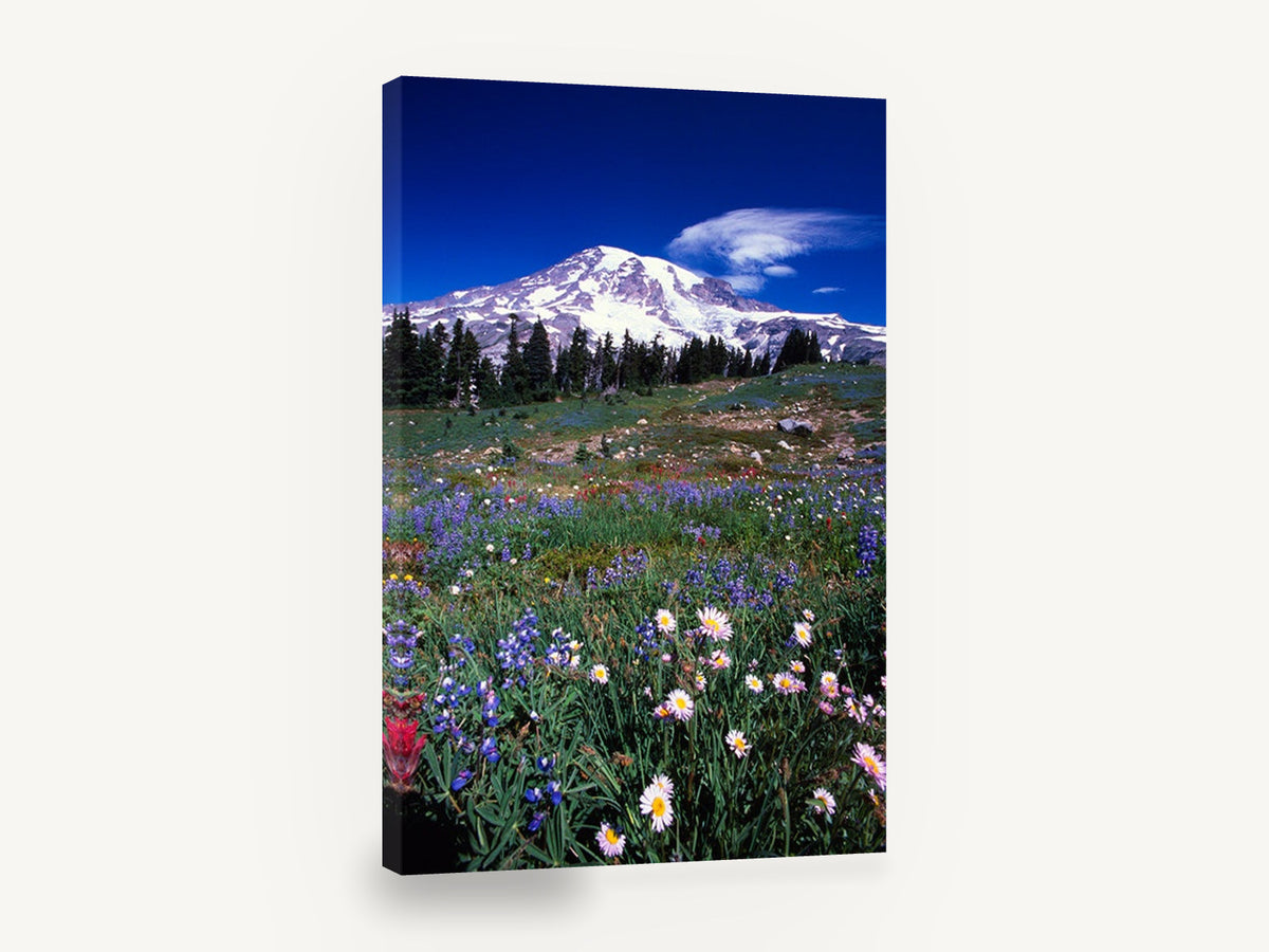 Alpine Meadow Bloom, wildflower meadow snow mountain photograph, floral canvas wall art print ready to hang